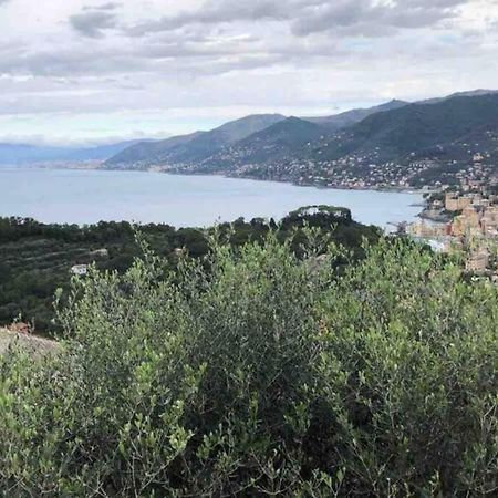 Acqua Marina Lägenhet Camogli Exteriör bild
