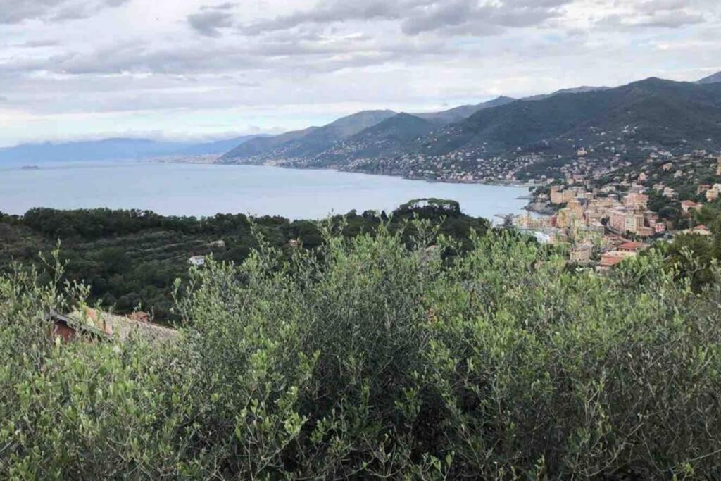 Acqua Marina Lägenhet Camogli Exteriör bild
