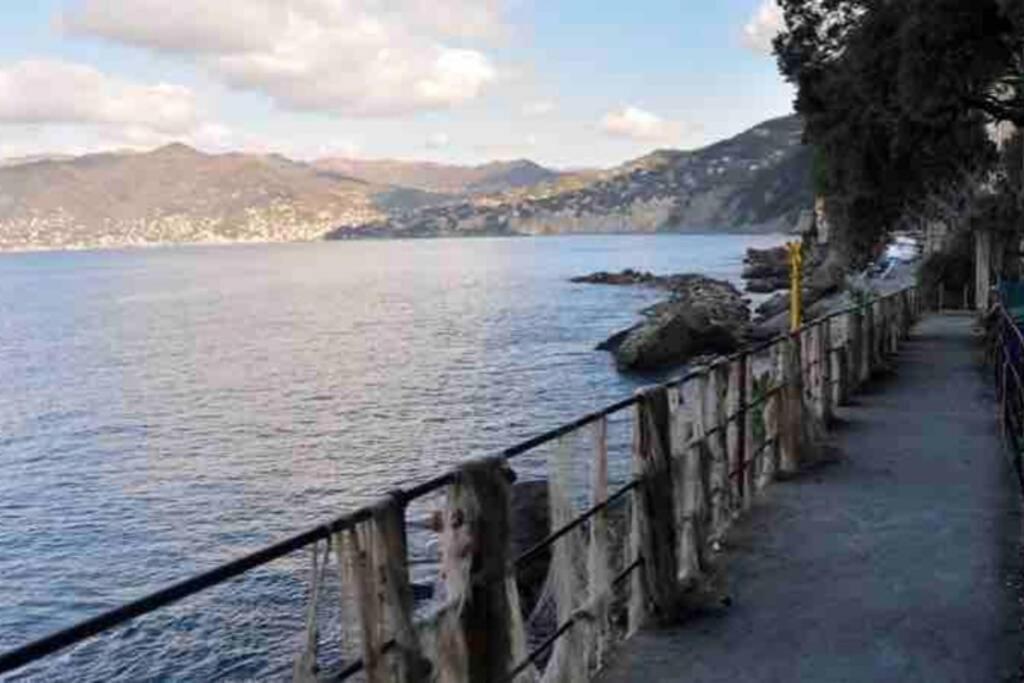 Acqua Marina Lägenhet Camogli Exteriör bild
